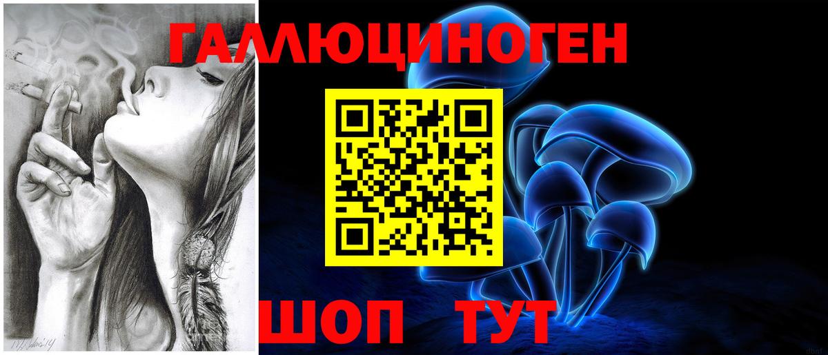Галлюциногенные грибы Psilocybine cubensis  где продают   Сердобск  Вход с VPN 